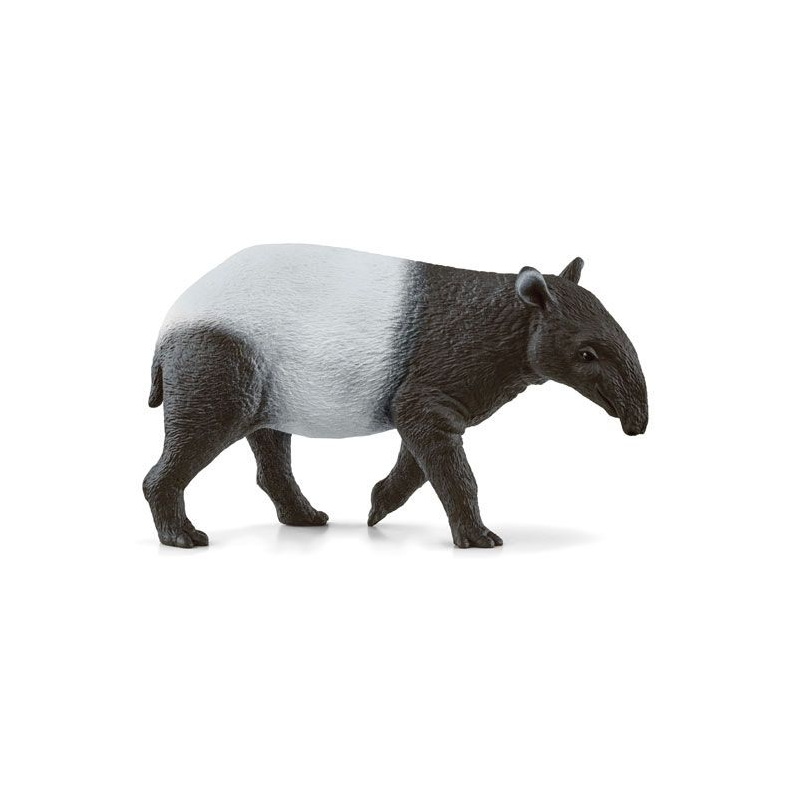 Tapir