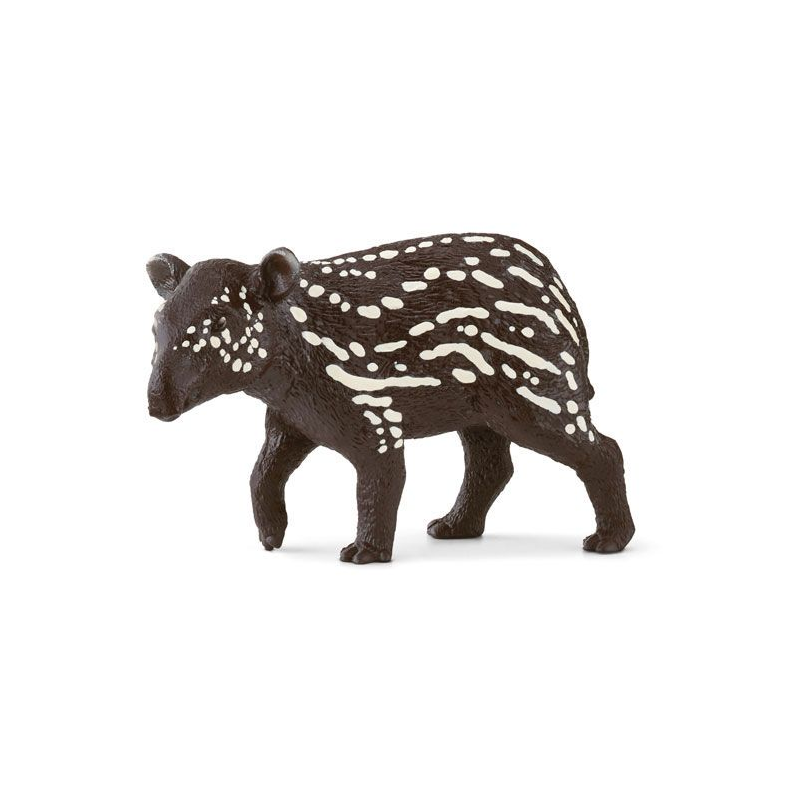 Tapir unge