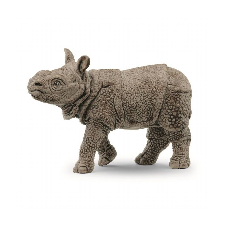 Pansrede nsehornsunge