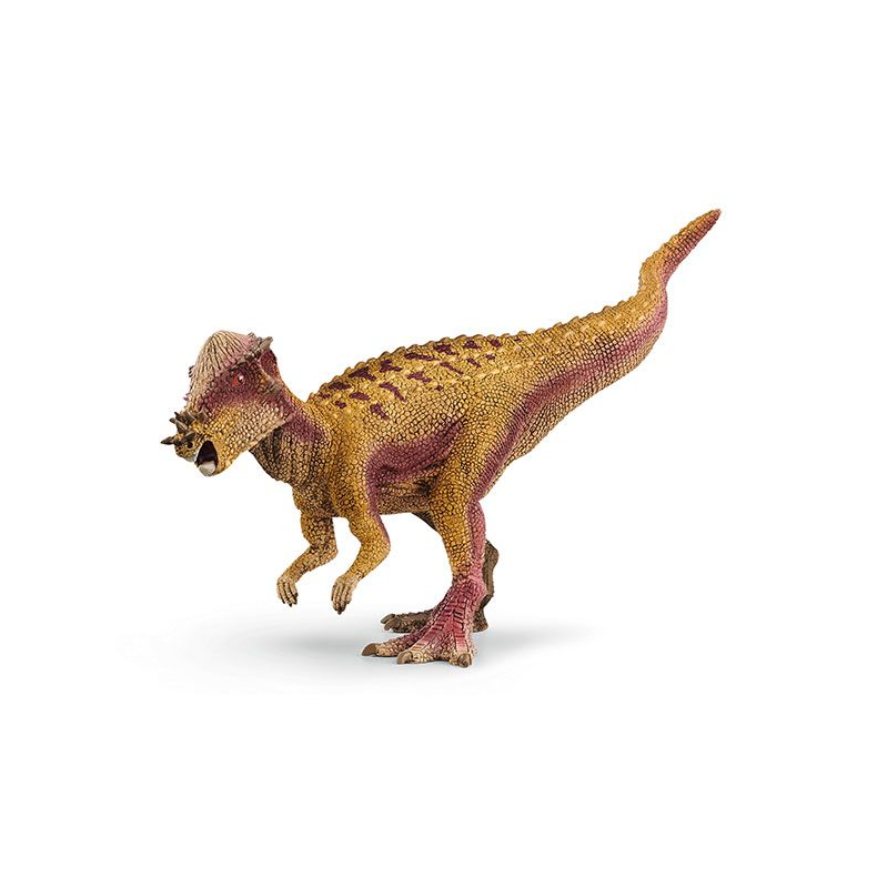 Pachycephalosaurus