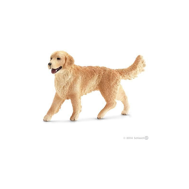 Golden retriever, hun