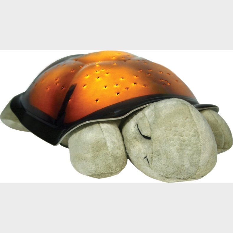 Cloud B - Skildpadde Natlampe - Twilight Turtle - Mokka