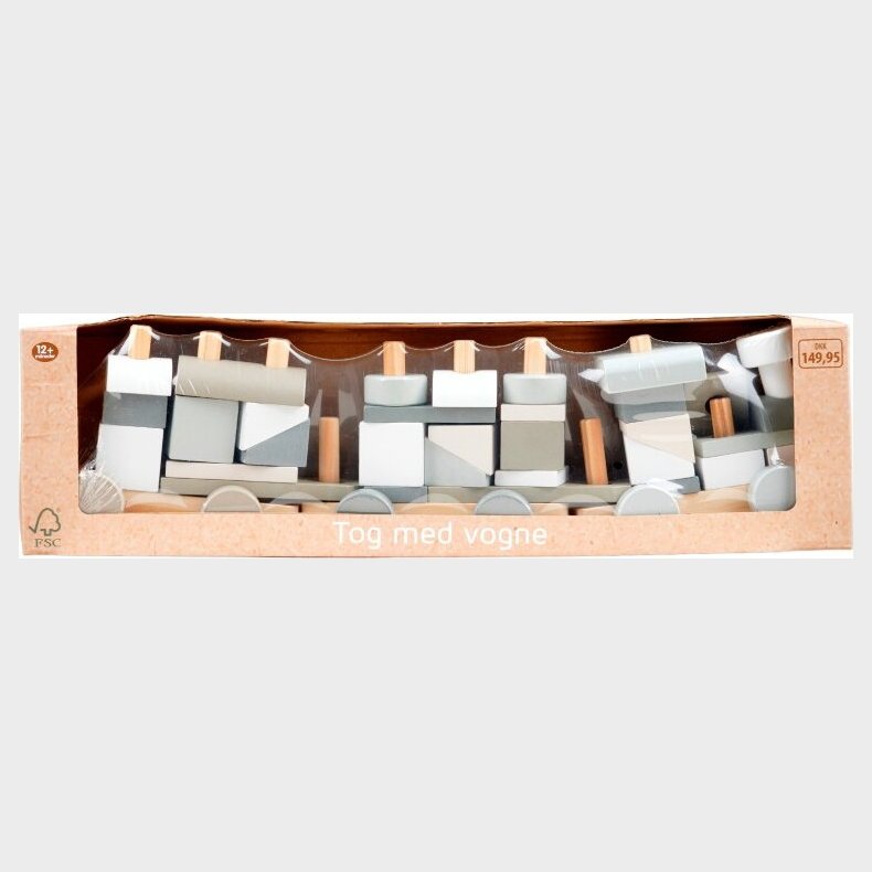Legetjstog Med Vogne I Tr
