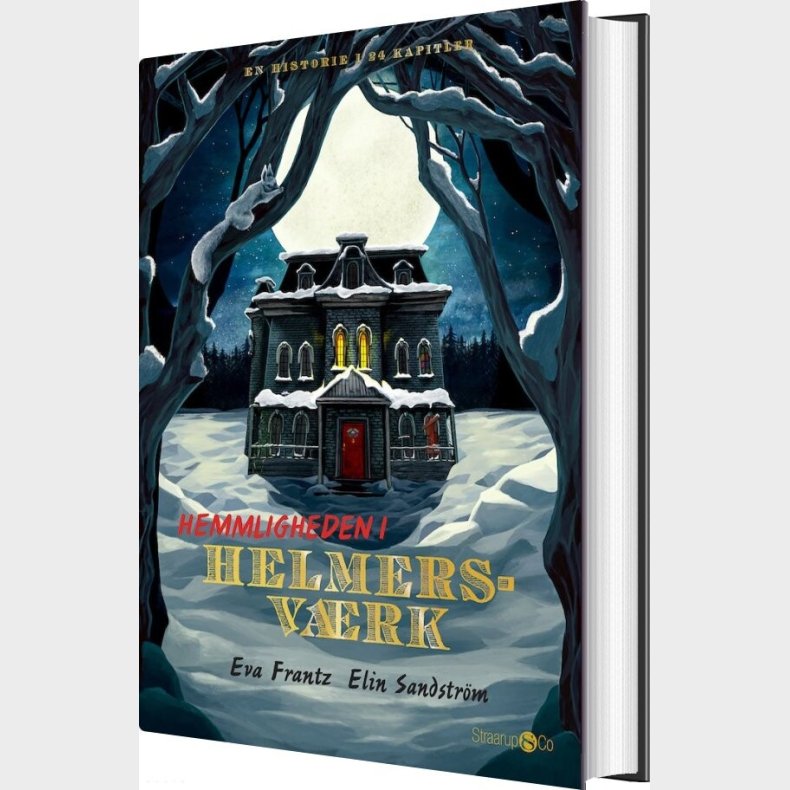 Hemmeligheden I Helmersvrk - Eva Frantz - Bog