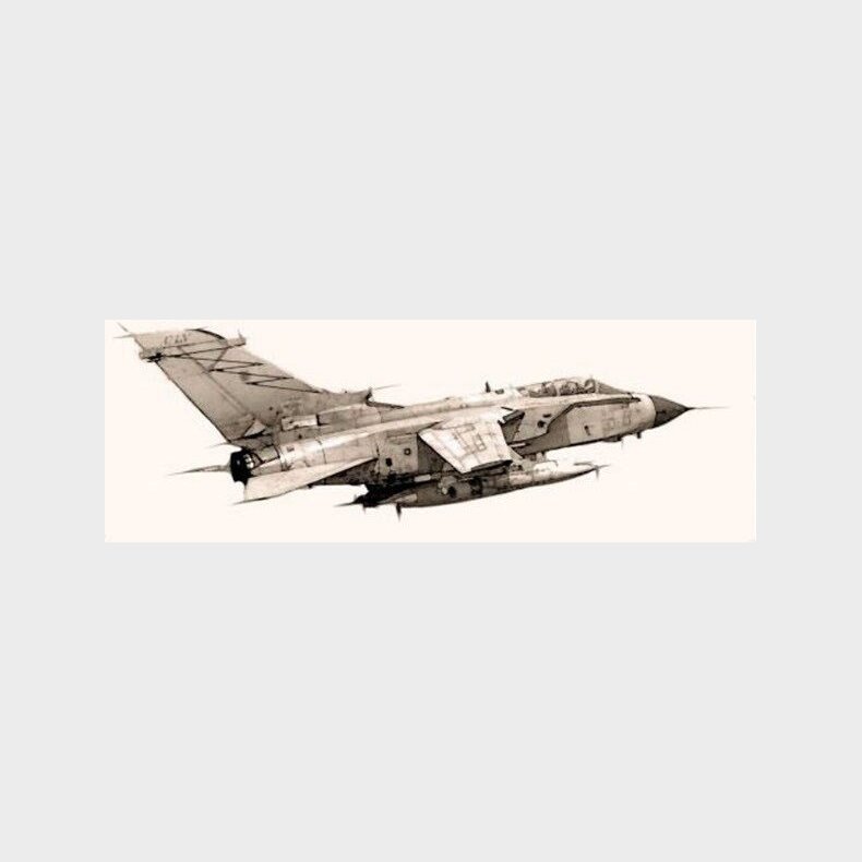 Revell - Tornado Ids Fly Byggest - 1:48 - 2783
