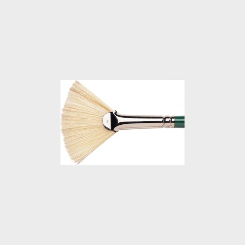 Winsor &amp; Newton - Winton Fan Size 8 - Malerpensel
