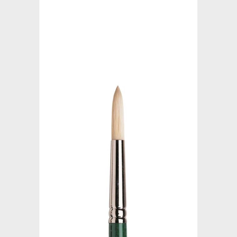 Winsor &amp; Newton - Winton Round Size 8 - Malerpensel