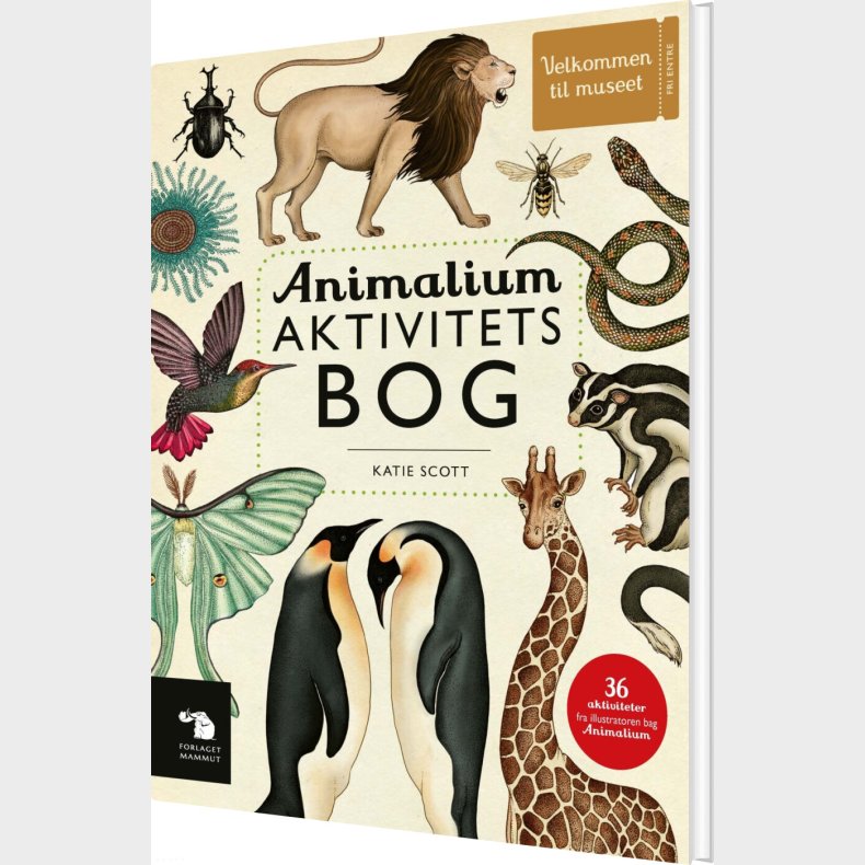 Animalium Aktivitetsbog - Katie Scott - Bog