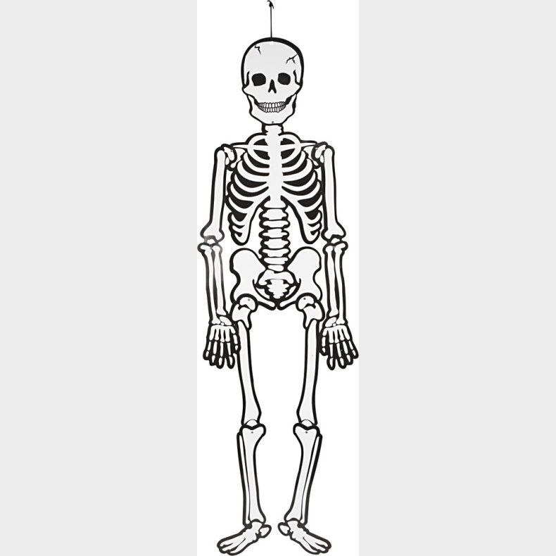 Skelet - H 120 Cm - 300 G - Hvid - 1 Stk.