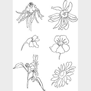 Silikonestempler - Sommer - 11x15,5 Cm - 1 Ark