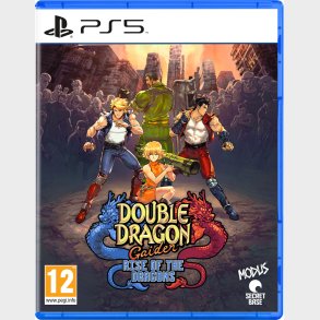 Double Dragon Gaiden: Rise Of The Dragons - PS5