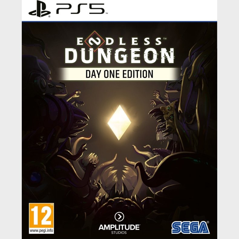 Endless Dungeon (day One Edition) - PS5