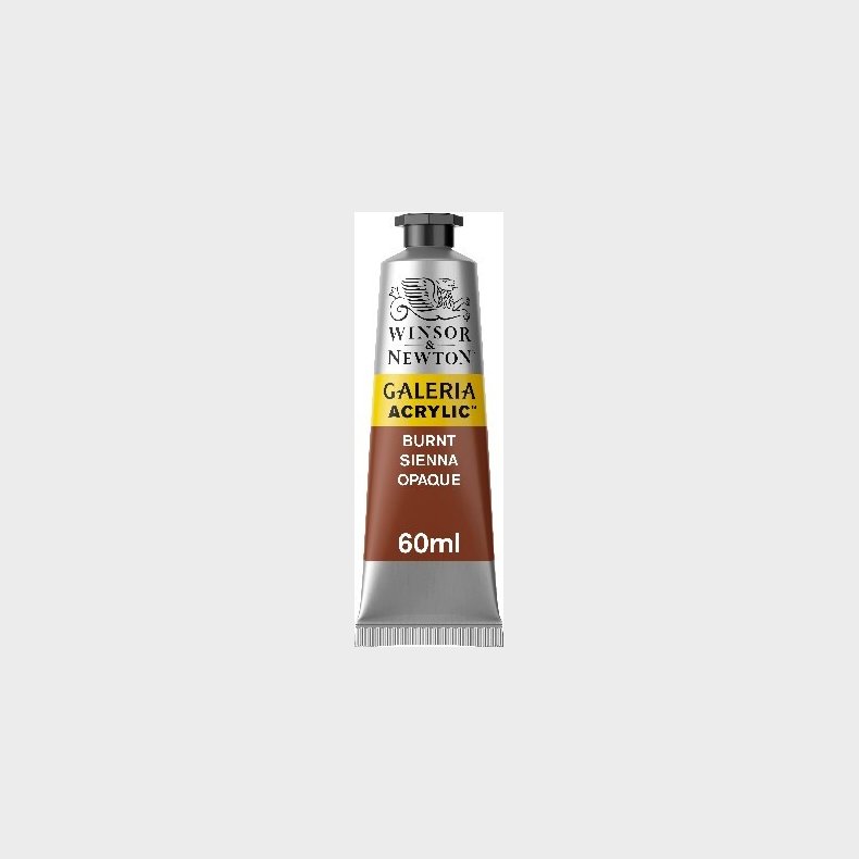 Winsor &amp; Newton - Galeria Acrylic - 60 Ml - Burnt Sienna Opaque 077