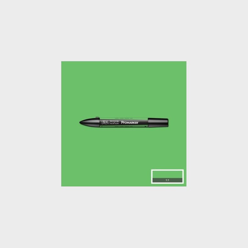 Winsor &amp; Newton - Promarker Brush - Grs Grn G457
