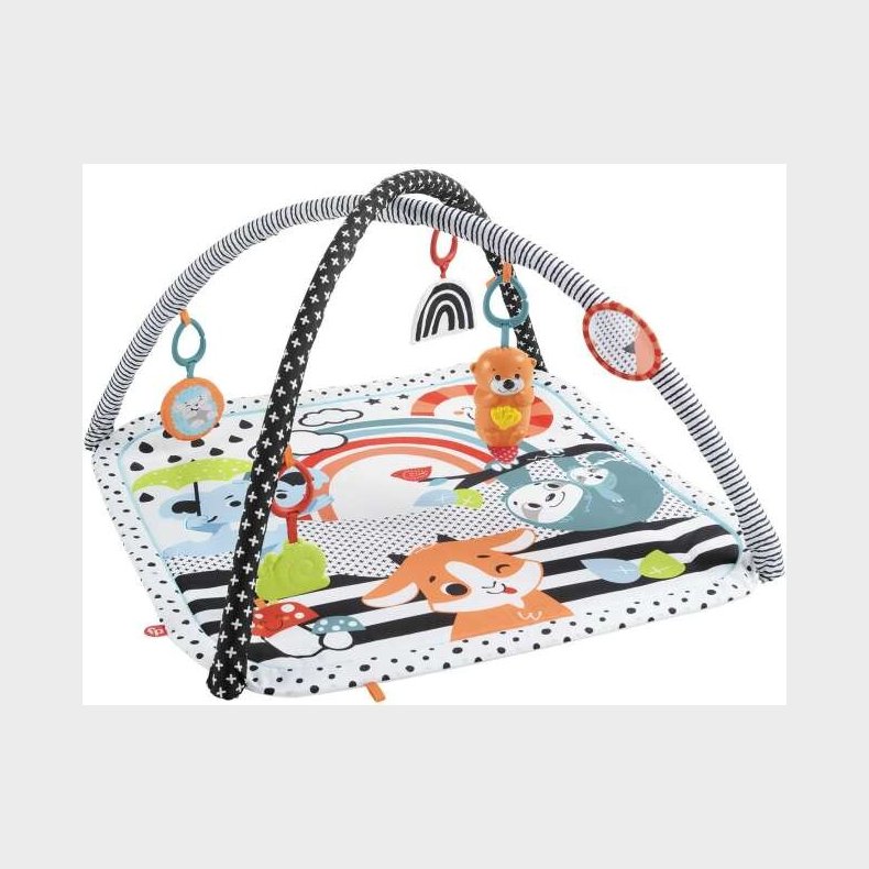 Fisher Price Newborn - 3 In 1 Glow Gym (hbp41)