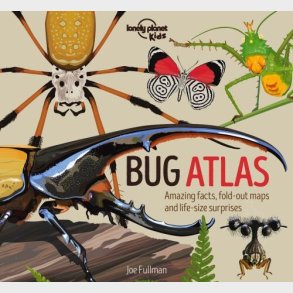 The Bug Atlas - Lonely Planet Kids  - English book