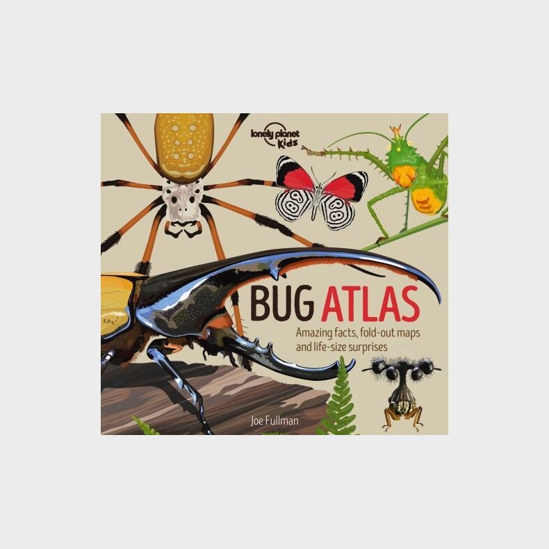 The Bug Atlas - Lonely Planet Kids  - English book