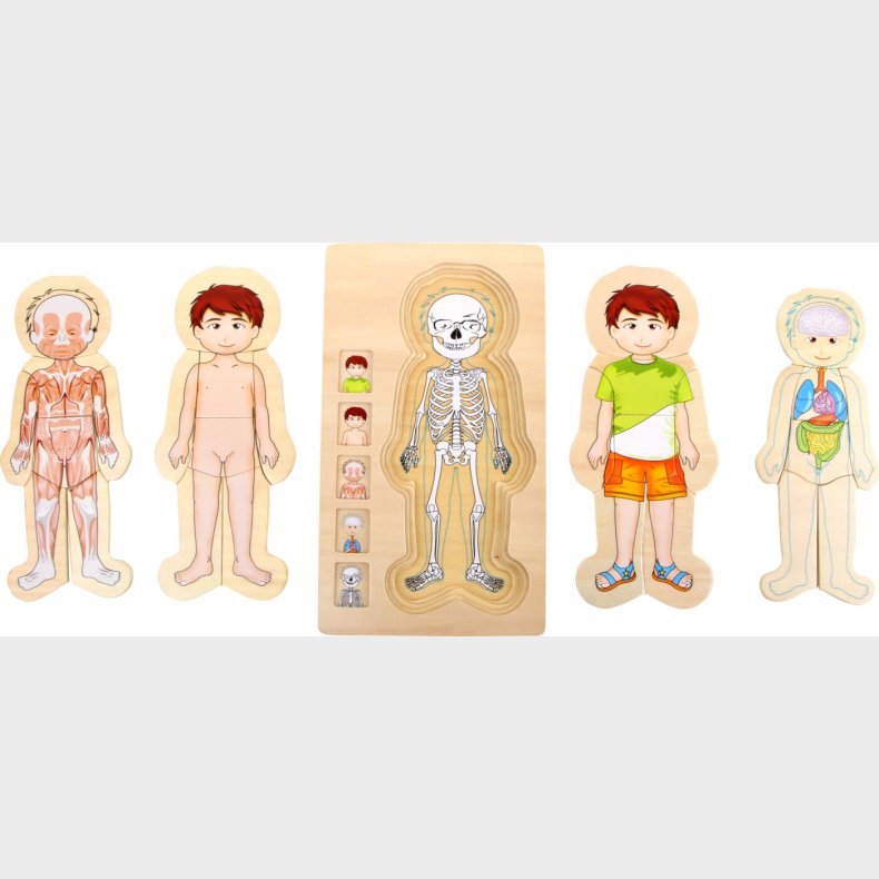 Ramme Puslespil I Tr - Anatomi - Dreng - Small Foot