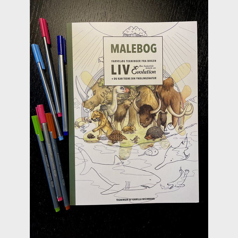 Malebog - Bog