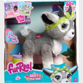 Furreal - Yoga Geden Daisy