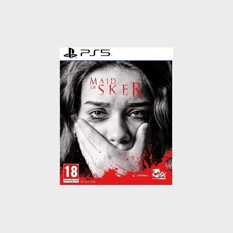 Maid Of Sker - PS5