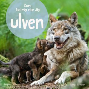 Kom Lad Mig Vise Dig Ulven - Svenja Ernsten - Bog