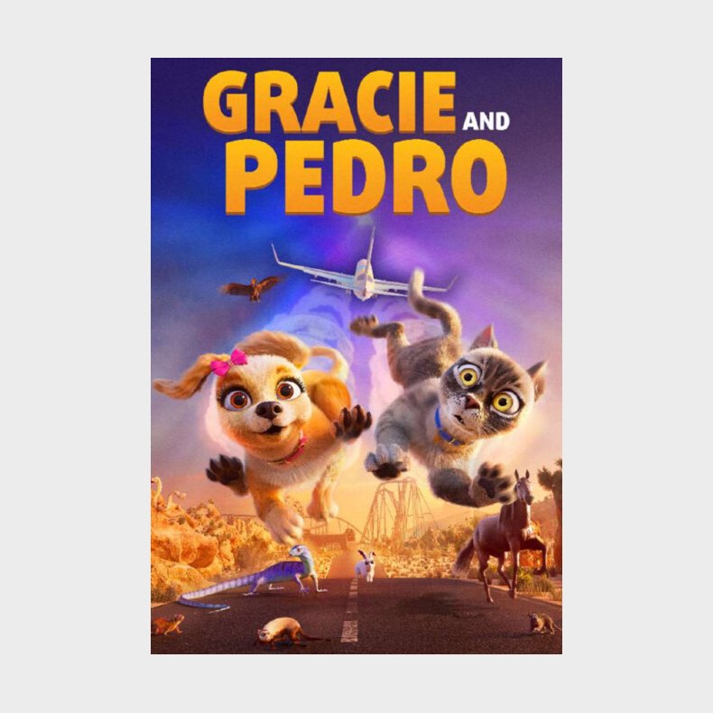 Gracie And Pedro - DVD - Film