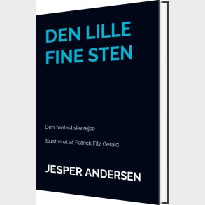 Den Lille Fine Sten - Jesper Andersen - Bog