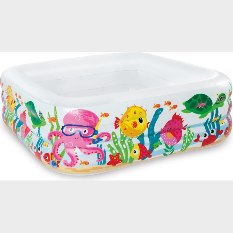 Intex - Sea Aquarium Pool - 340l - 159 X 159 X 50 Cm
