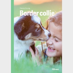Border Collie, Grn Fagklub - Hanne Korvig - Bog