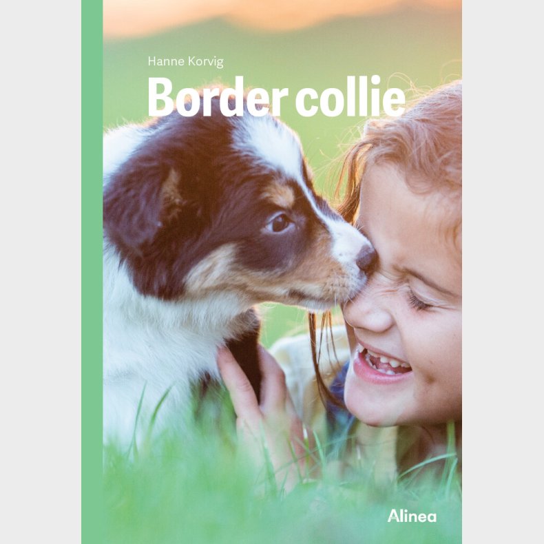 Border Collie, Grn Fagklub - Hanne Korvig - Bog