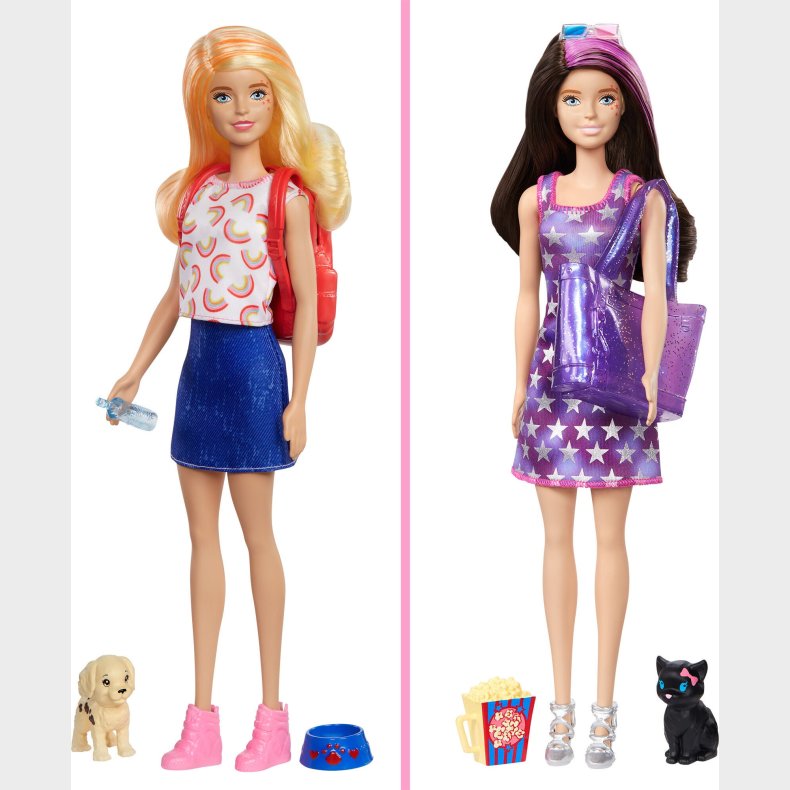 Barbie Color Reveal Dukke med Tilbehr, Park To Movies