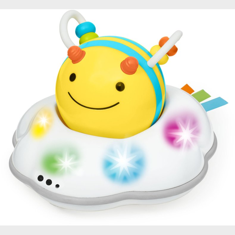 Skip Hop Explore&amp; More Kravlelegetj, Bi