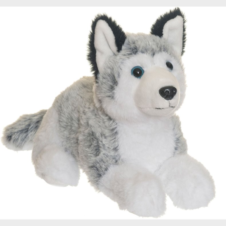 Teddykompaniet Bamse Husky 25 cm
