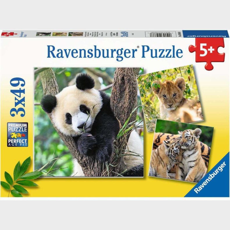 Ravensburger Puslespil Panda, Lion and Tiger 3x49 Brikker