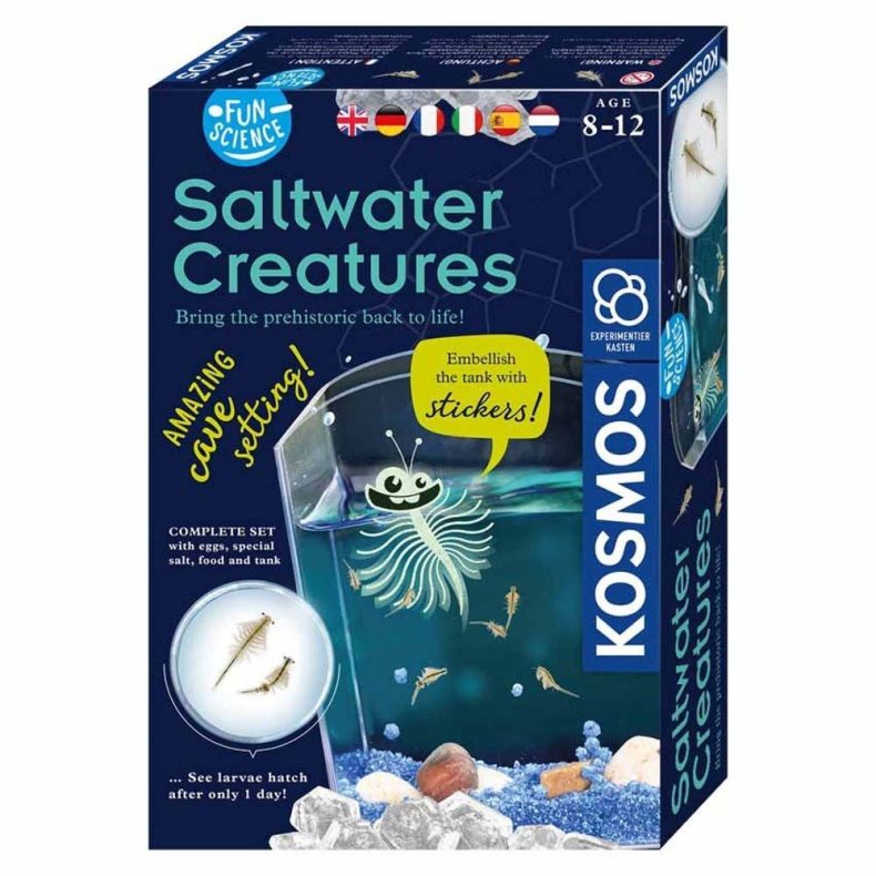 Kosmos Fun Science Eksperimentkasse Saltwater Creature