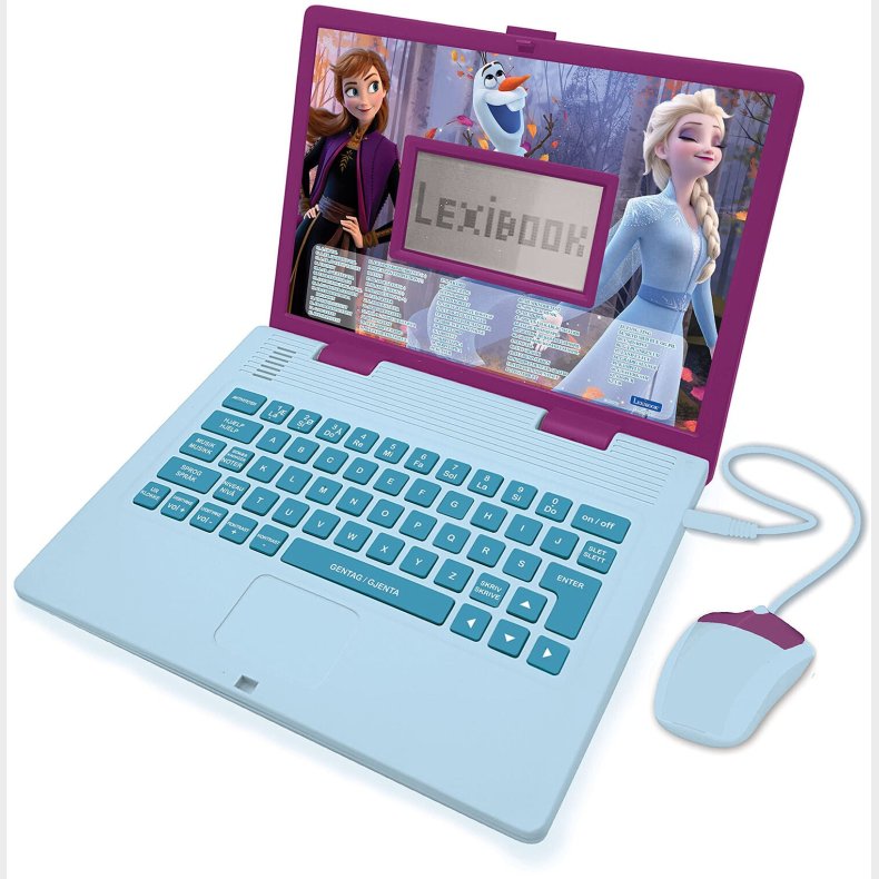 Disney Frozen  Lrerig Brbar Computer