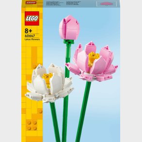 LEGO Iconic 40647 Lotusblomster