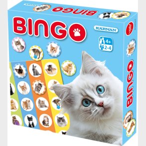 Krnan Bingo Katte