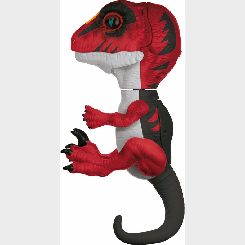 Untamed Raptor Face off Dino