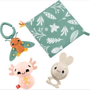 Fisher-Price So Many Senses Gavest