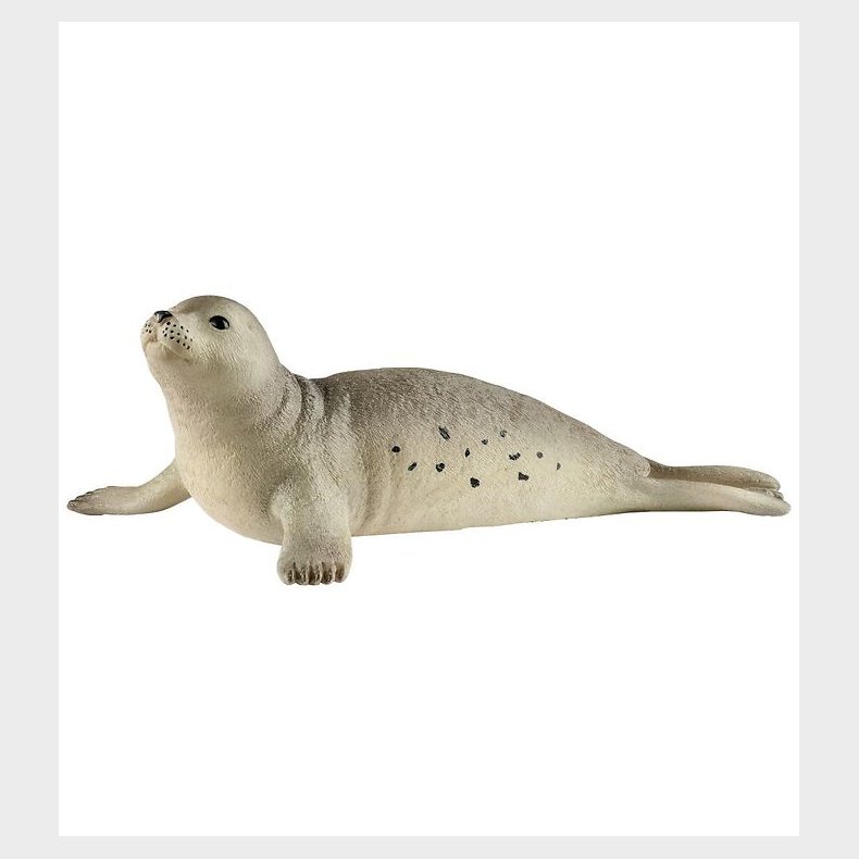 Schleich Dyr - S�l - L: 11 cm 14801