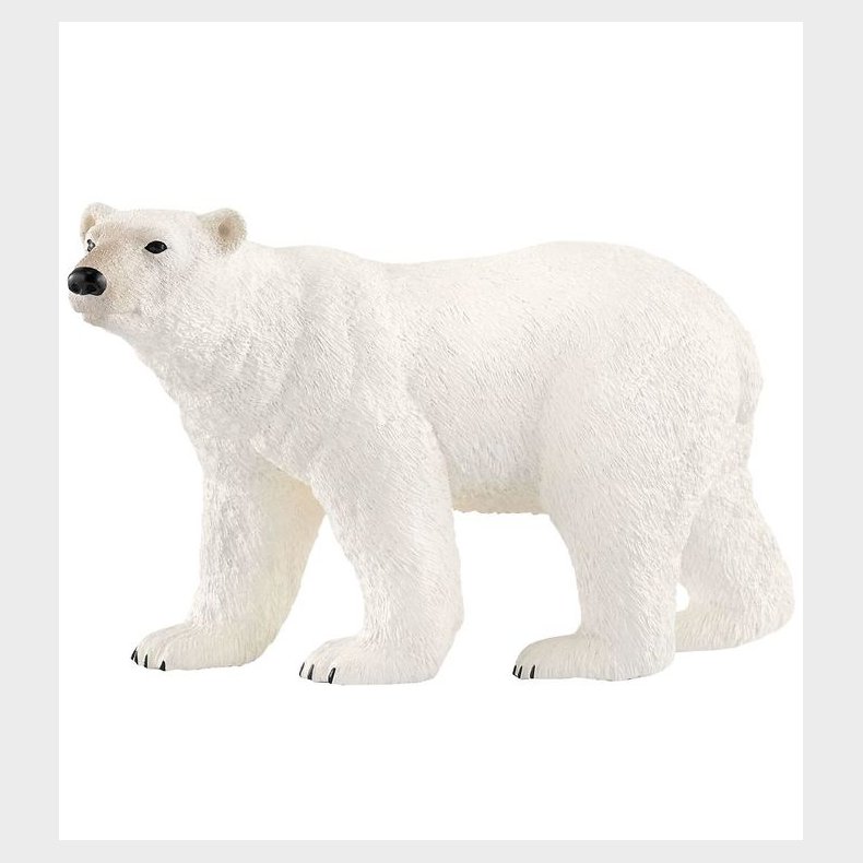 Schleich Dyr - Isbj�rn - H: 7 cm 14800