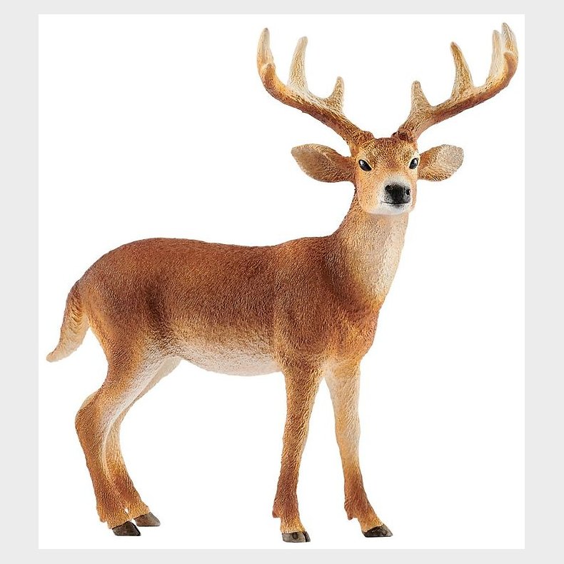 Schleich Dyr - Virginiahjort Buk - H: 11 cm 14818