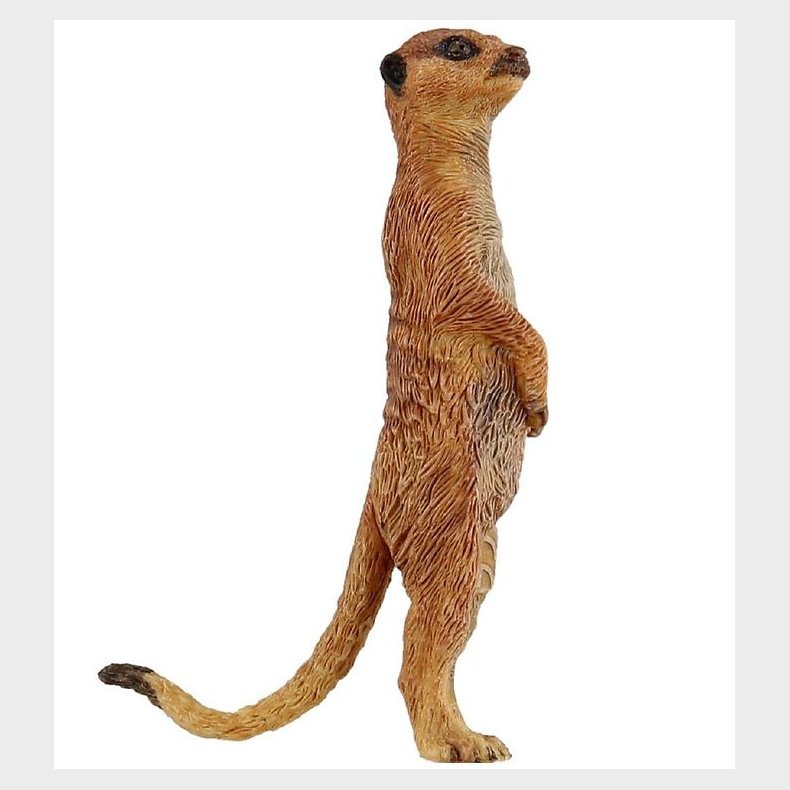 Papo Surikat - H: 8 cm