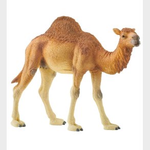 Schleich Dyr - H:11 cm - Dromedar 14832