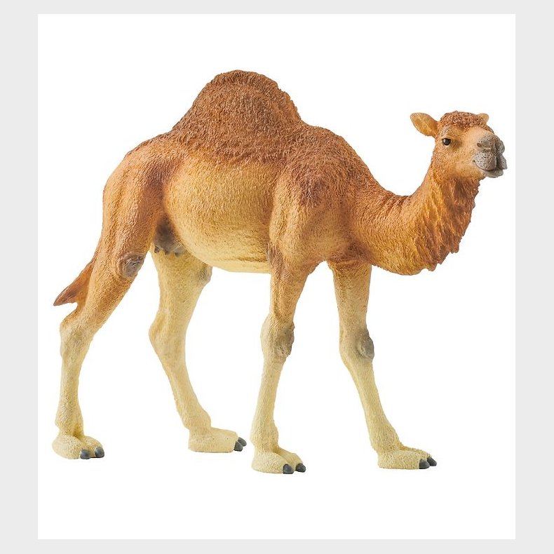 Schleich Dyr - H:11 cm - Dromedar 14832
