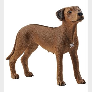 Schleich Dyr - H:6 cm - Rhodesian Ridgeback 13895