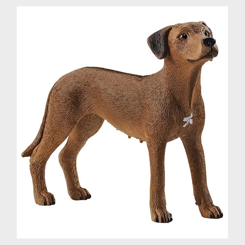 Schleich Dyr - H:6 cm - Rhodesian Ridgeback 13895