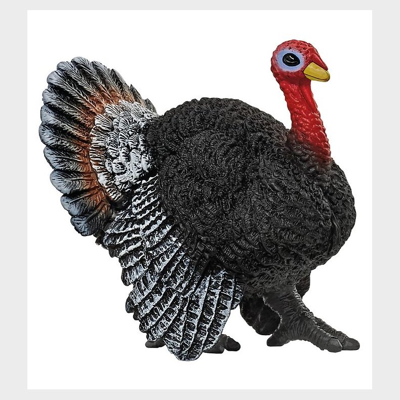 Schleich Dyr - H: 10 cm - Kalkun 13900